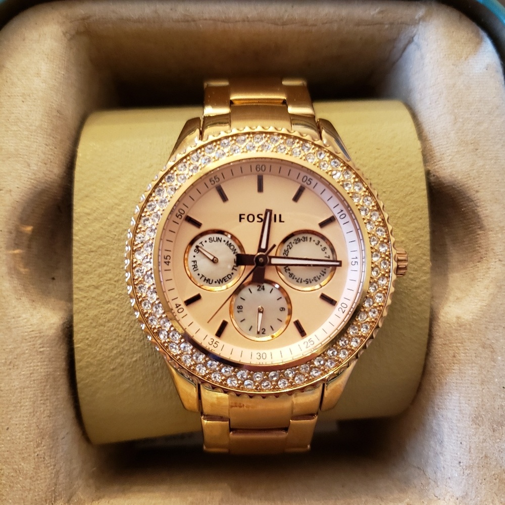 Fossil Watch